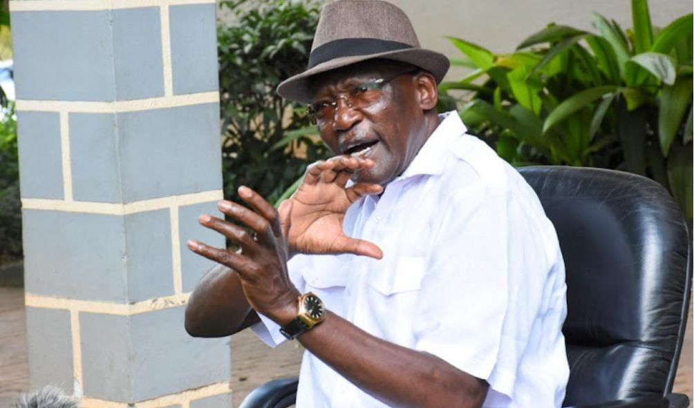 Former UDA Chairperson Asserts Party Too Young To Start Falling Apart