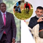 President Ruto's Call To Governor Nassir Heeded After Muguka Ban Threats