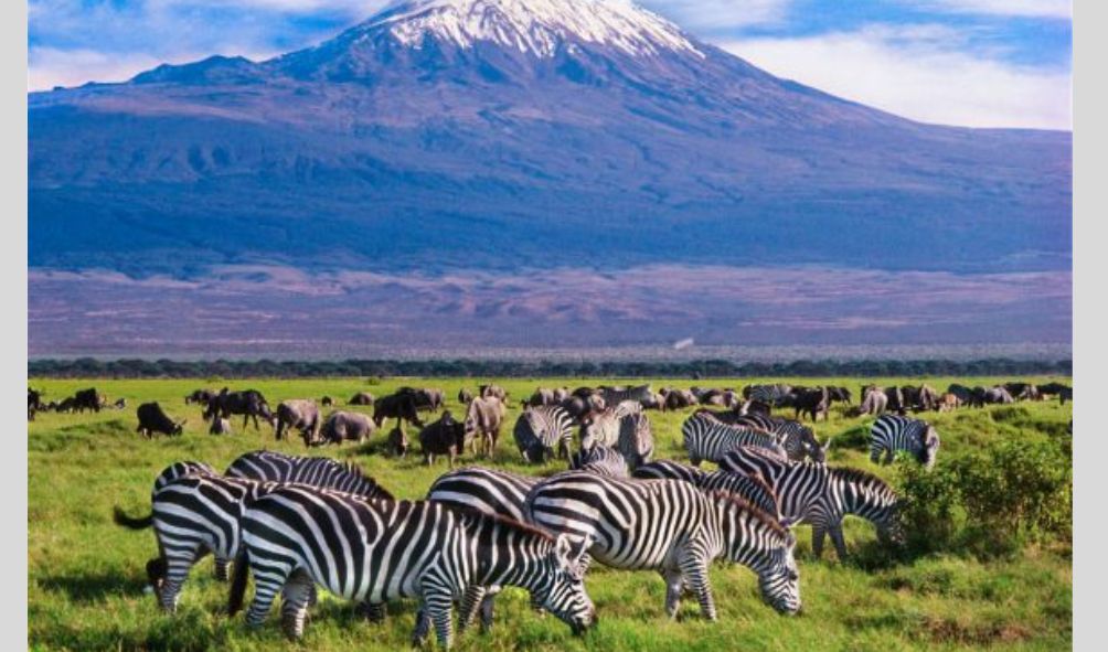 Kenya's Most Beautiful National Parks And Conservancies