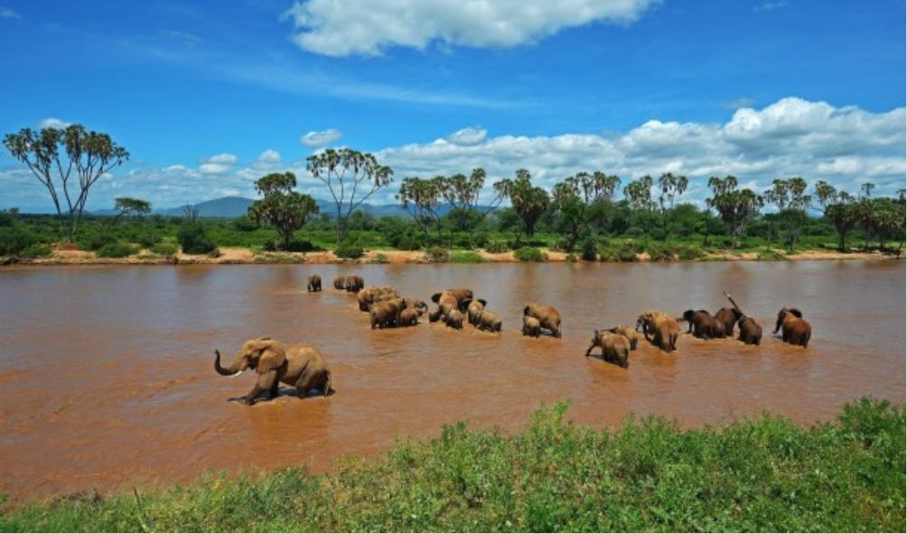 Kenya's Most Beautiful National Parks And Conservancies