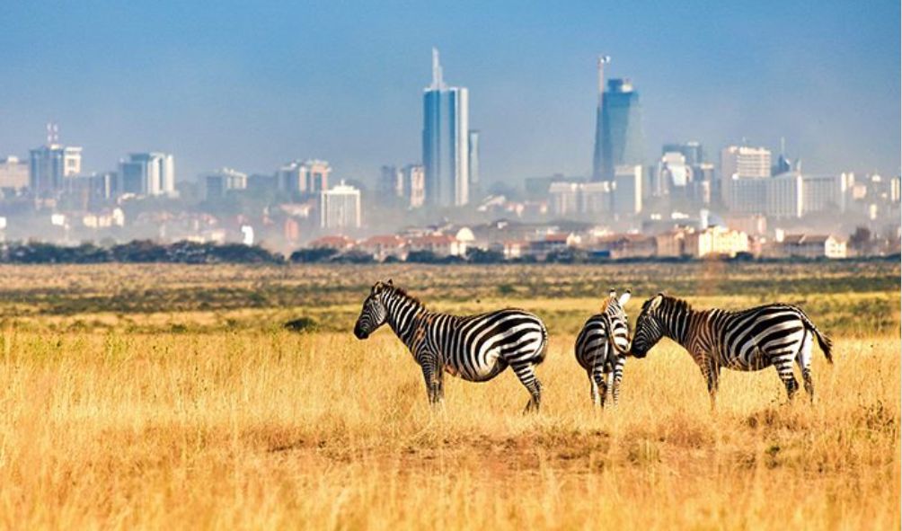 Kenya's Most Beautiful National Parks And Conservancies
