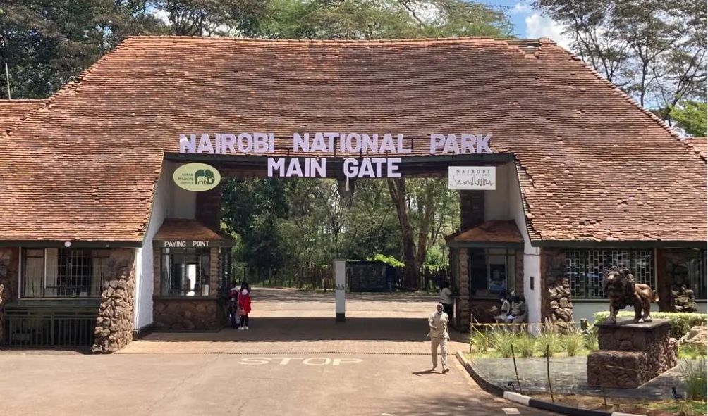 Kenya's Most Beautiful National Parks And Conservancies