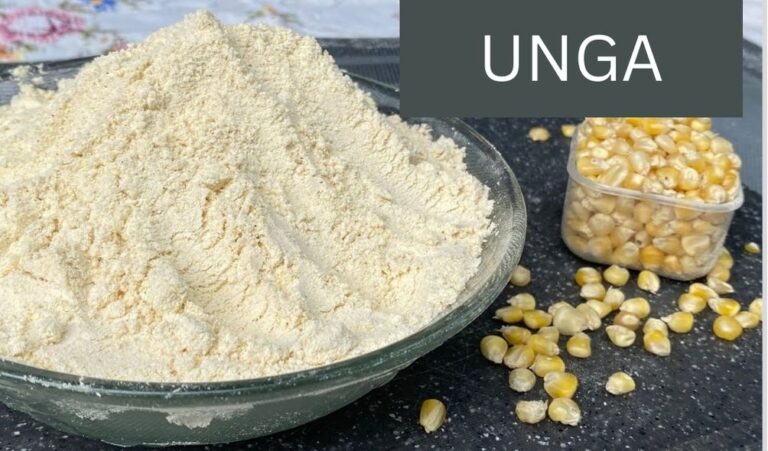 FINANCE BILL 2024: 10 Products Exempted from Tax