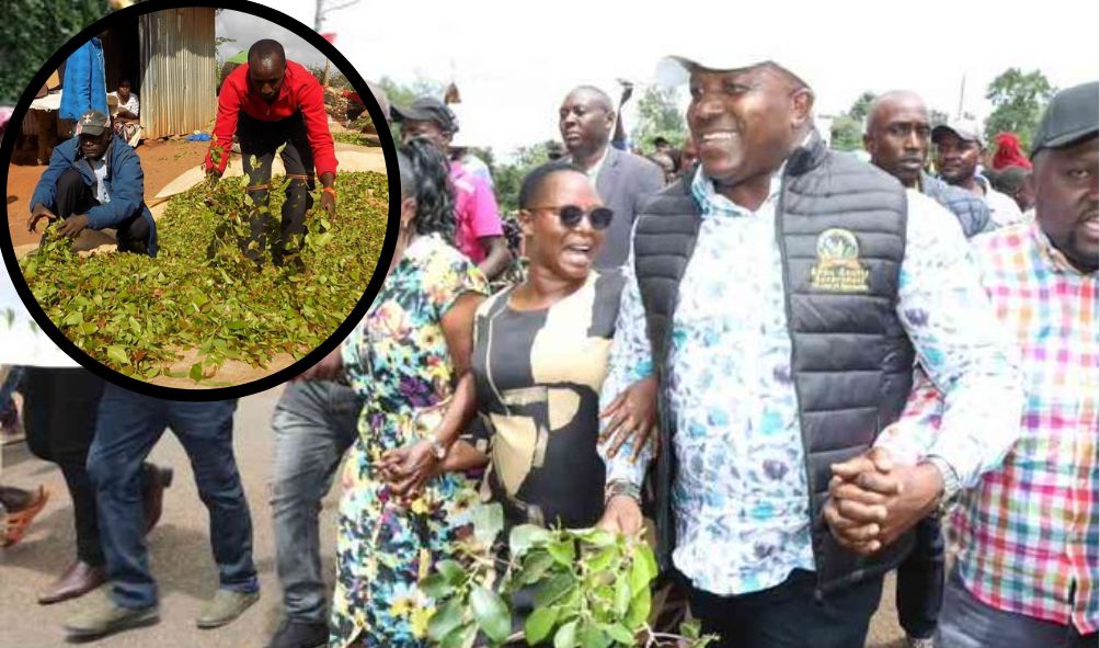 Third Coastal County Bans Muguka As Embu Leaders Stage Protests