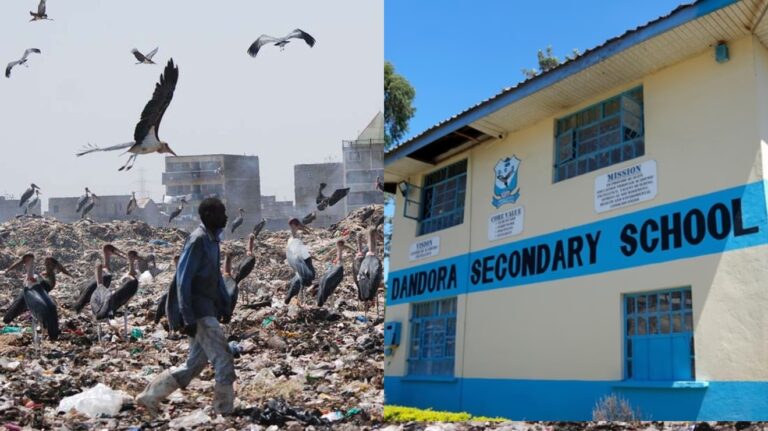TREES AGAINST WASTE: How Dandora Students Are Tackling Toxic Air from Nairobi's largest dumpsite