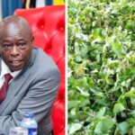 Ruto's Outspoken CS Has Challenged Gachagua To Lead Fight Against Muguka