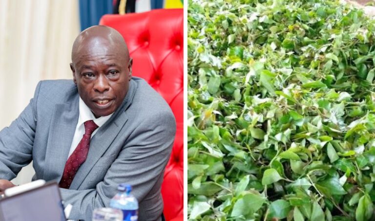 Ruto's Outspoken CS Has Challenged Gachagua To Lead Fight Against Muguka