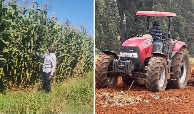 DAP Is The Wrong Fertilizer - President Ruto