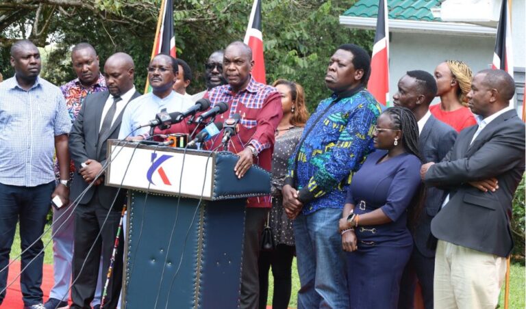 Kalonzo Wants Mt Kenya Take Charge Of The Finance Bill Demonstrations