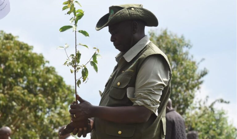 'Kindly Forgive Us' - DP Gachagua To Ruto And Promises To Support Him Fully