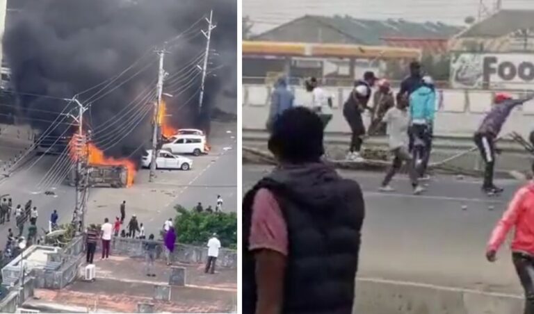 Protester Dies After Swinging on a Moving Lorry While Another Recorded Vandalizing Vehicle