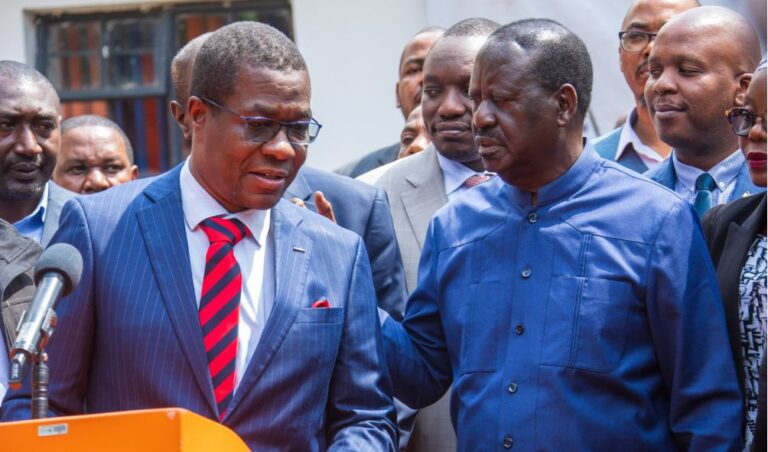 Opiyo Wandayi Responds To Cashing In On Gen Z Protests For CS Position