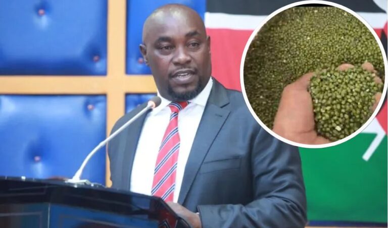 'Good For International Scale' - Kitui Senator Gives Reasons Why 'Ndengu' Bill Is Good