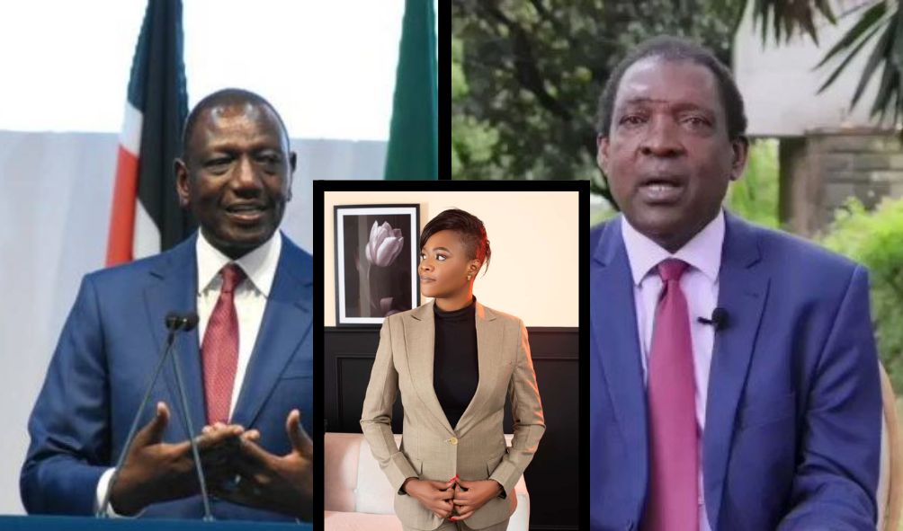 'You're More Than Mugabe' - Herman Manyora Hits Out At Ruto's Approach On Dissent