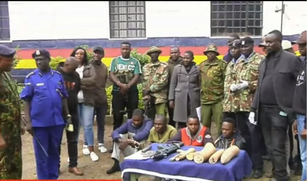 2 Police Officers Among Notorious Poachers Arrested With Ivory Stolen From Commissioner's Office