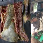 FRAUD ALERT! Contaminated Meat Cartel Exposed By Veterinary Services In Bomet