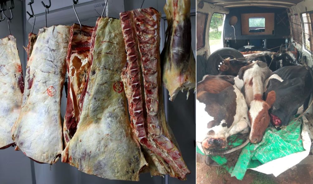 FRAUD ALERT! Contaminated Meat Cartel Exposed By Veterinary Services In Bomet