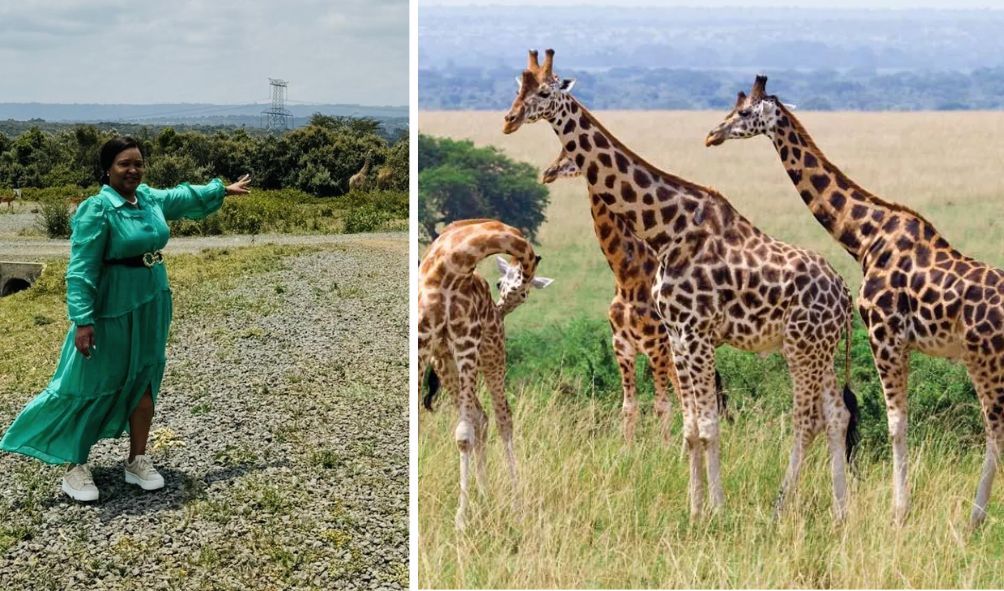 WONDER IN KENYA: Reappointed Cabinet Secretary Claims To Have Spoken With Giraffes About Tourists