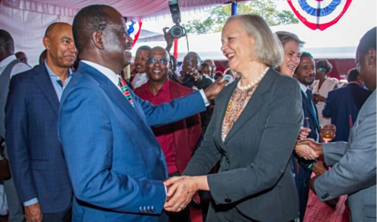 Full Raila Odinga Education Accolades While Releasing Manifesto For AUC Chair