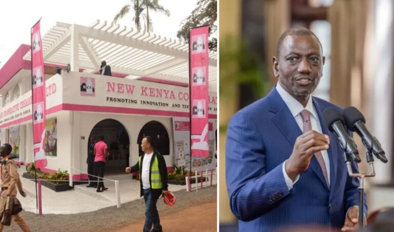 Ruto Promises New KCC Ksh1 Billion After Debt Fiasco Threatens Kenya's Milk Plant