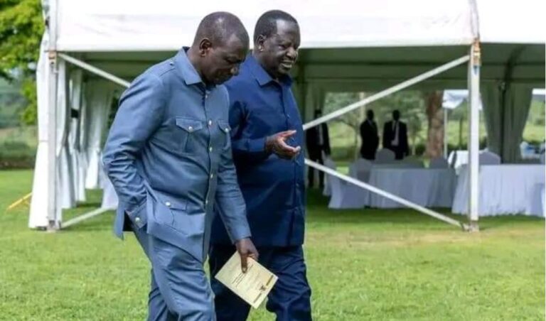 Ruto Rallies Kenyans To Support Raila's AU Chair Bid Amidst Nationwide Negativity
