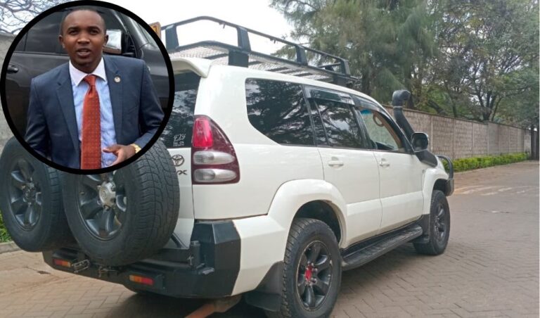 MORARA KEBASO: Celebrated Activist Showcases Prado From Kenyans' Contributions For Civic Education