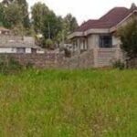 Politicians Blast Governor For Increasing Freehold Land Rates Despite Discontent