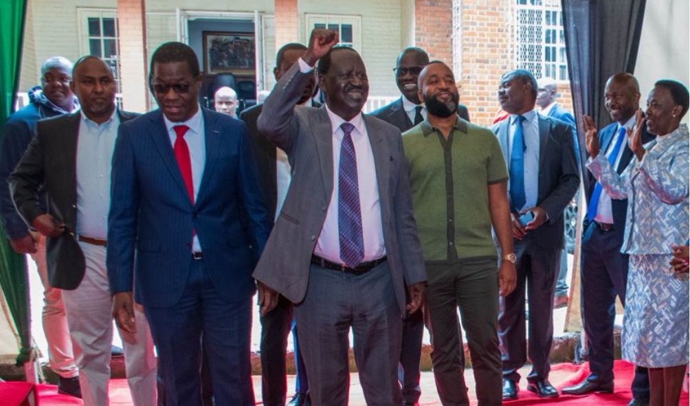 ODM Succession War Starts After Section Of Delegates Endorsed James Orengo