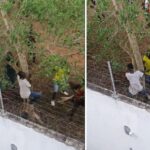 [VIDEO] Mob Whips Suspected Thief For Attempted Robbery In Diani