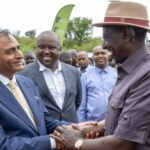 Ruto Reappoints Multi-Billionaire As Egerton Chancellor