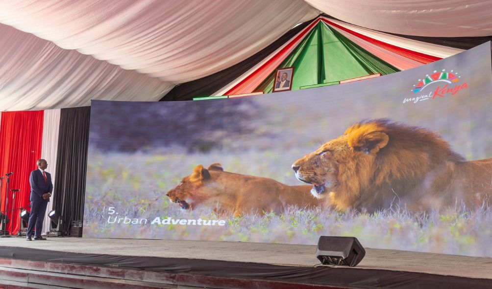 DIGITAL NOMAD: How Kenya's New Plan Could Affect Normal Citizens