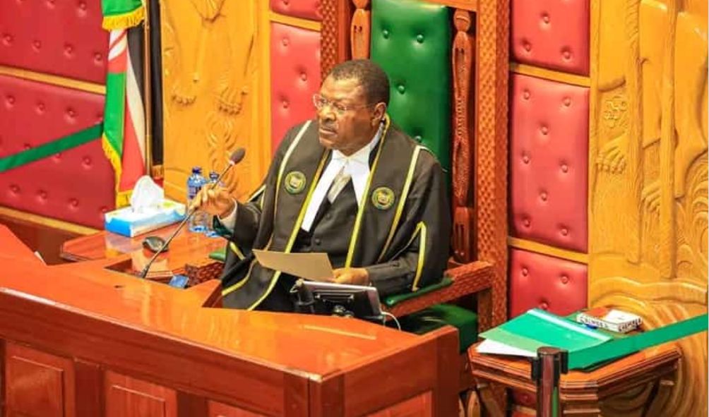 Speaker Wetangula Refuses Mt Kenya MP's Request To Withdraw Signature On Gachagua Impeachment