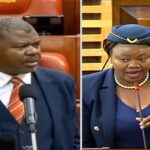 MPs Wamuchomba, TJ Kajwang Clash Over Gachagua's Mentality