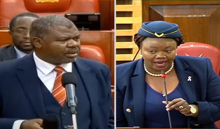 MPs Wamuchomba, TJ Kajwang Clash Over Gachagua's Mentality