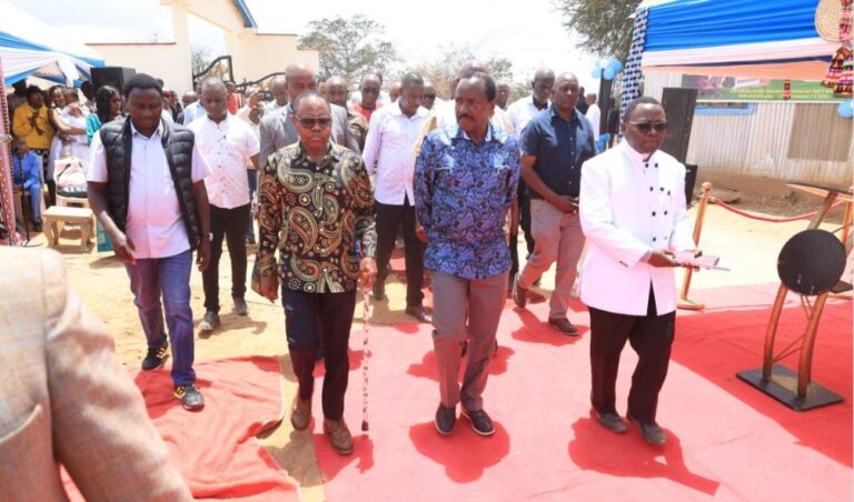 'You Are My Mashujaa!' - Kalonzo To Gen Zs And Millennials