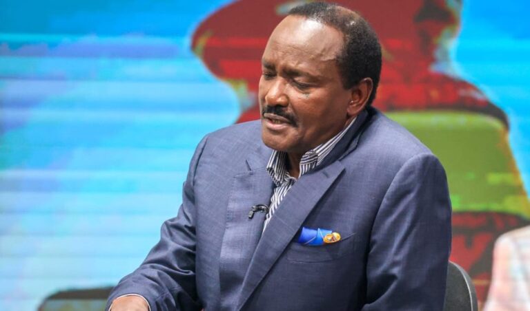 Kalonzo Addresses Claims Of Adani Sponsoring Raila's Presidency Campaign