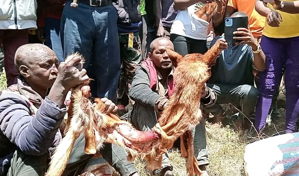 Police Arrested 2 Men For Using Dog Meat in Mutura, Samosas