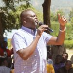 UDA MP Wants NA Committees' Leadership 'Sanitized' After Gachagua Impeachment