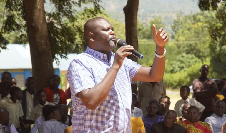 UDA MP Wants NA Committees' Leadership 'Sanitized' After Gachagua Impeachment