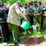 Kenya Bans Farming, Grazing In ALL Natural Forests