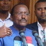 'It's Irresponsible And Risky!' - Kalonzo Blasts Ruto Gov't Over Cattle Vaccination