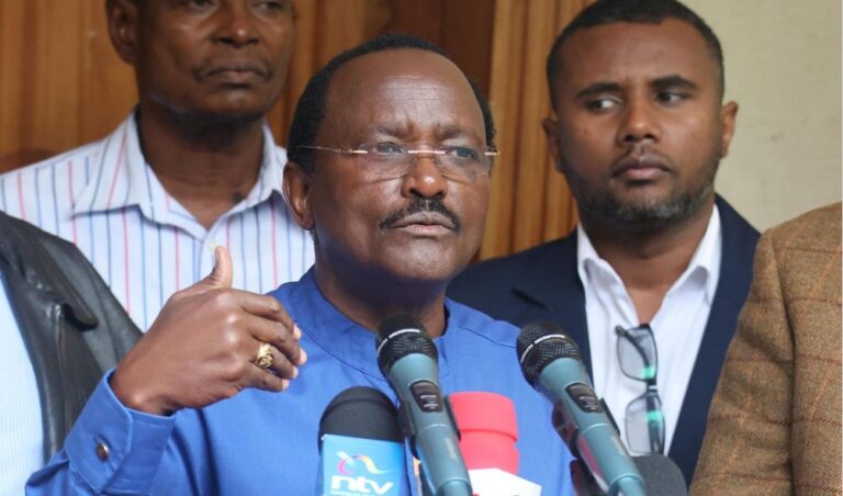 'It's Irresponsible And Risky!' - Kalonzo Blasts Ruto Gov't Over Cattle Vaccination