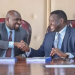 UDA MP Reveals Ruto Wants Either CS Murkomen Or Chirchir As Interior Minister