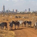 CS Mbadi Announces Increase In Park Entry Fee After Recent Hike