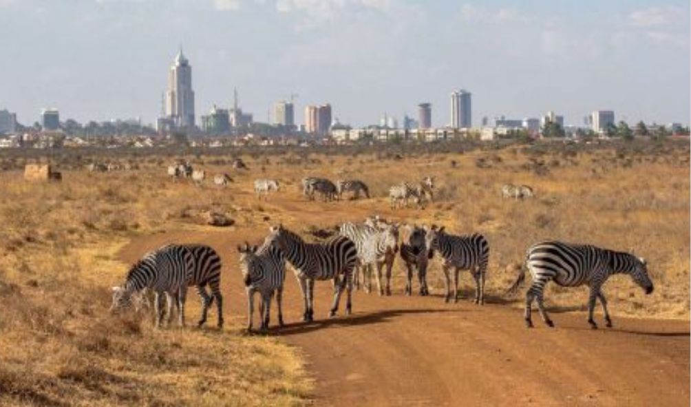 CS Mbadi Announces Increase In Park Entry Fee After Recent Hike
