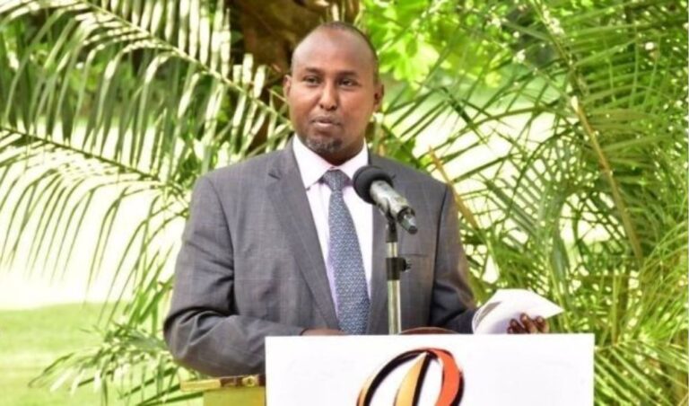 ODM's Junet Calls Public Participation A 'Hindrance' To Gov't Plans