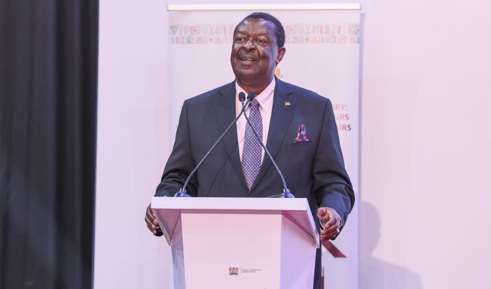 'Diaspora Can Build A New Airport' - Mudavadi Says As Gov't Targets Ksh 300B