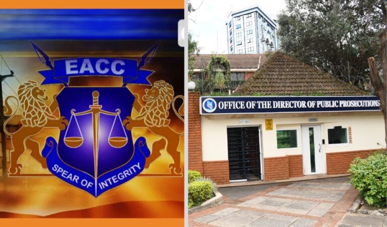 'Give EACC Powers To Prosecute Cases!' - MPs Tell DPP