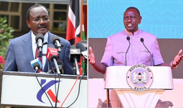 'You Have An Evil Spirit Of Opposition!' - Ruto Fires Back Kalonzo