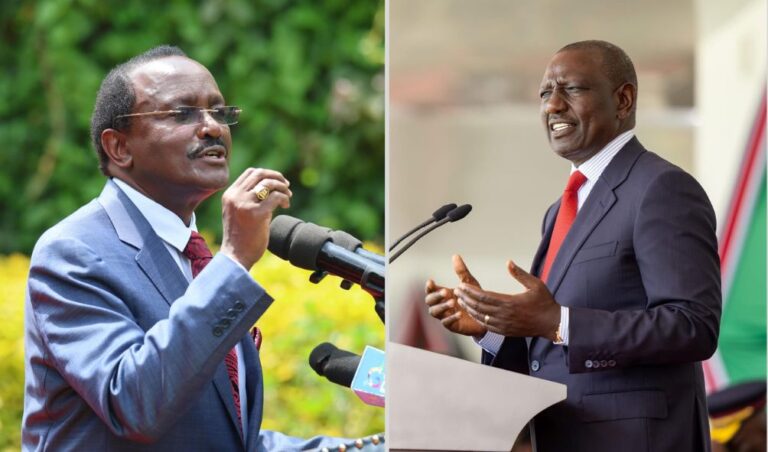 'Pipe Dreams And Misinformation!' - Kalonzo Hits Out At Ruto For Unwarranted Speech